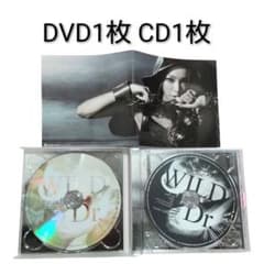 安室奈美恵 WILDDr DVD1枚 CD1枚 歌詞カード ミュージックビデオ