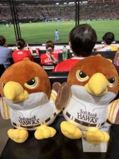 m86680112644_1.jpg?1755606941