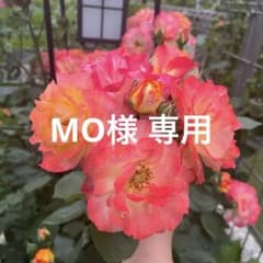 MO様 リクエスト 2点 まとめ商品のサムネイル