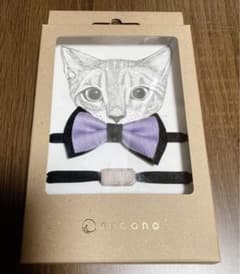 necono 猫用リボン　ふじのサムネイル