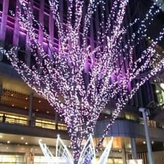 のんさん専用のサムネイル
