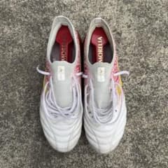 まめすけ様専用ページ】モレリアネオIV β SR4 JAPAN 25.0 - メルカリ
