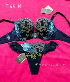サルート✩ワコール サルート 【エジプト 43G】Salute F65 M - メルカリ