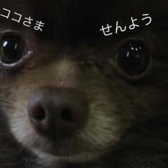 パワーバランスのサムネイル