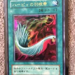 ハーピィの羽根箒のサムネイル