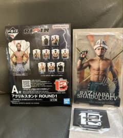 RIZIN 셰이드 라예프