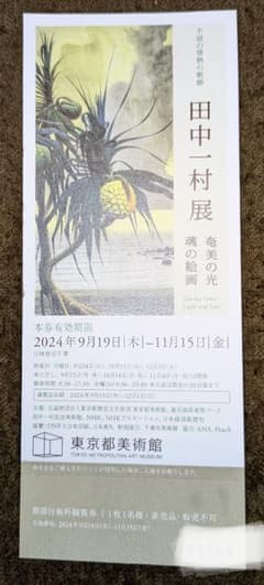 田中一村展 チケット　東京都美術館のサムネイル