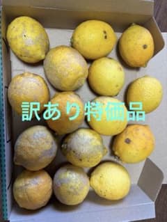 大崎上島産無農薬レモン①訳あり特価品①のサムネイル