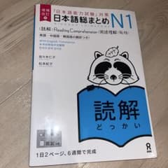 日本語総まとめ N1 読解　JLPT N1対策のサムネイル