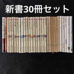 新書30冊まとめ売り(講談社現代新書、岩波新書、中公新書