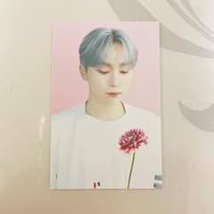 SEVENTEEN cafe in Seoul スングァンのサムネイル