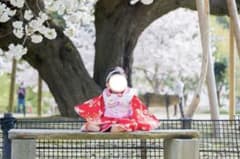 被布のサムネイル