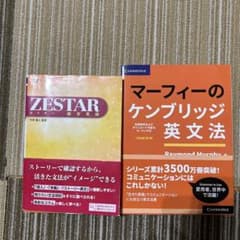 ゼスター総合英語　マーフィーのケンブリッジ英文法のサムネイル