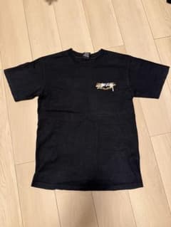 STUSSY ヴィンテージ Tシャツ ストゥーシーのサムネイル