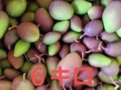 摘果マンゴーのサムネイル