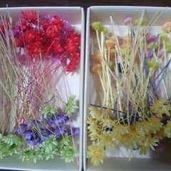 クルリンまつげ様 専用ですのサムネイル
