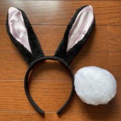 うさぎ　カチューシャのサムネイル
