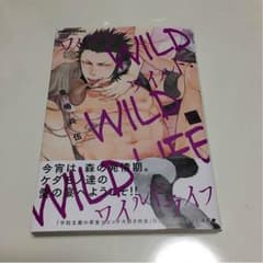 ワイルドワイルドワイルドライフのサムネイル