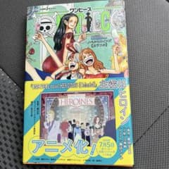 ワンピース ノベルヒロインズ カラフル 初版 帯付き - メルカリ