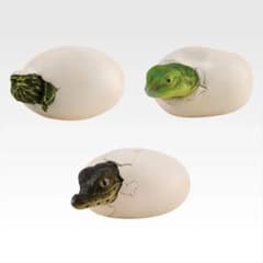 ぴぴぴ様 卵から孵る爬虫類のサムネイル