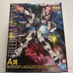 MG 1/100 프리덤 건담 Ver.2.0 솔리드 클리어