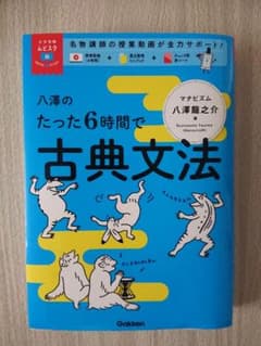 八澤のたった6時間で古典文法のサムネイル