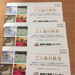 箱根ユネッサン ３枚 samdeam様専用のサムネイル
