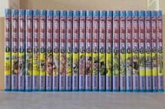 조조의 기묘한 모험 STEEL BALL RUN 전권 세트 1~24권
