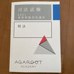 【NB様専用】アガルート 重要問題習得講座 2021年版 刑法のサムネイル