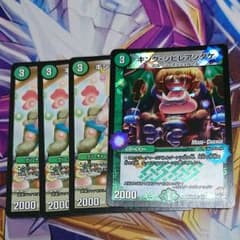 キングシビレアシダケのサムネイル