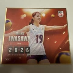 岩澤実育選手　バレーボール　日本代表　2026 トレーディングmini色紙 バレーボール日本代表 岩澤実育2026 mini色紙 - メルカリ
