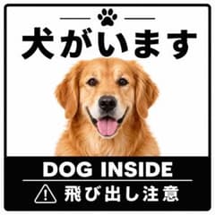 カーステッカー ゴールデンレトリバー 飛び出し注意 正方形 犬がいます シンプルのサムネイル