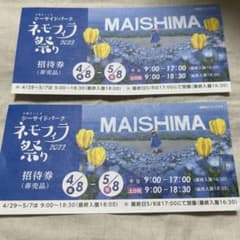 ネモフィラ祭りのサムネイル