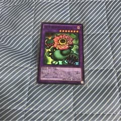キメラフレシアのサムネイル