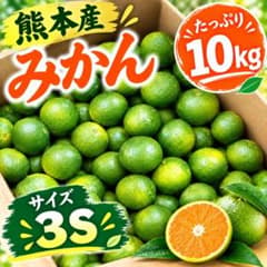 【熊本産】極早生みかん10kg 3Sサイズのサムネイル
