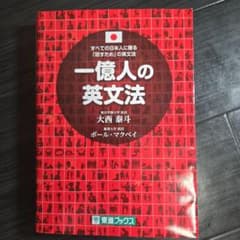 一億人の英文法のサムネイル