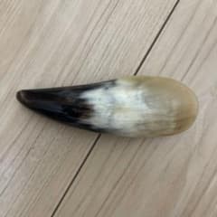 水牛の角　かっさのサムネイル