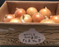 【淡路島  和田農園】淡路島産玉ねぎ  10kg サイズMから2L 送料無料のサムネイル