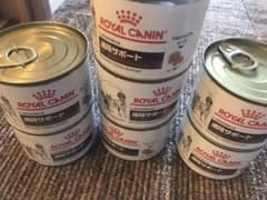 ロイヤルカナン　退院サポート　7缶のサムネイル
