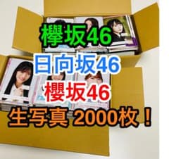 櫻坂46/日向坂46/櫻坂46 生写真 2000枚！⑧ - メルカリ