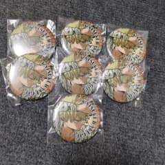 爆豪勝己 ジャンプフェスタ限定 私服 缶バッジ 7点 - メルカリ