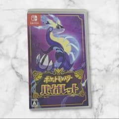 ポケットモンスター バイオレット Nintendo Switch