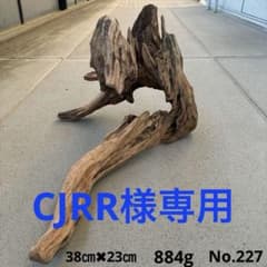 アク抜き済み流木 No.227 レア型 置き方いろいろ - メルカリ