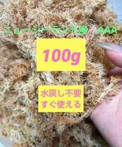 【ふわふわ水苔】水戻し不要ですぐ使える100g NZ産AAAミズゴケネコポス配送のサムネイル