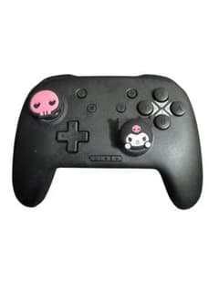 Switch 컨트롤러