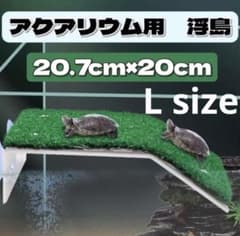 L 亀の浮き島 芝生 亀 日向ぼっこ 浮島 爬虫類 水槽 強力吸盤 陸 ペットのサムネイル