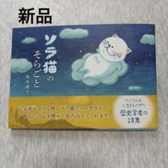 ソラ猫のそらごと 鈴木康子 詩集