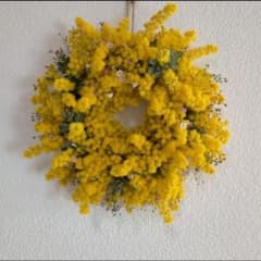 作りたて！ミモザのリースのサムネイル