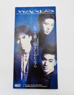 WANDS/もっと強く抱きしめたならのサムネイル