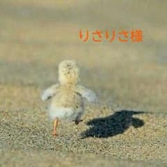 【りさりさ様専用】DSカセットのサムネイル